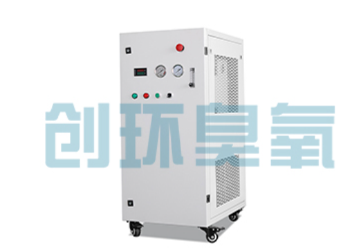 枣庄石斑鱼养殖水质调控完整指南:臭氧发生器配置与操作步骤